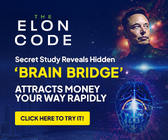 The Elon Code Brain Bridge Banner